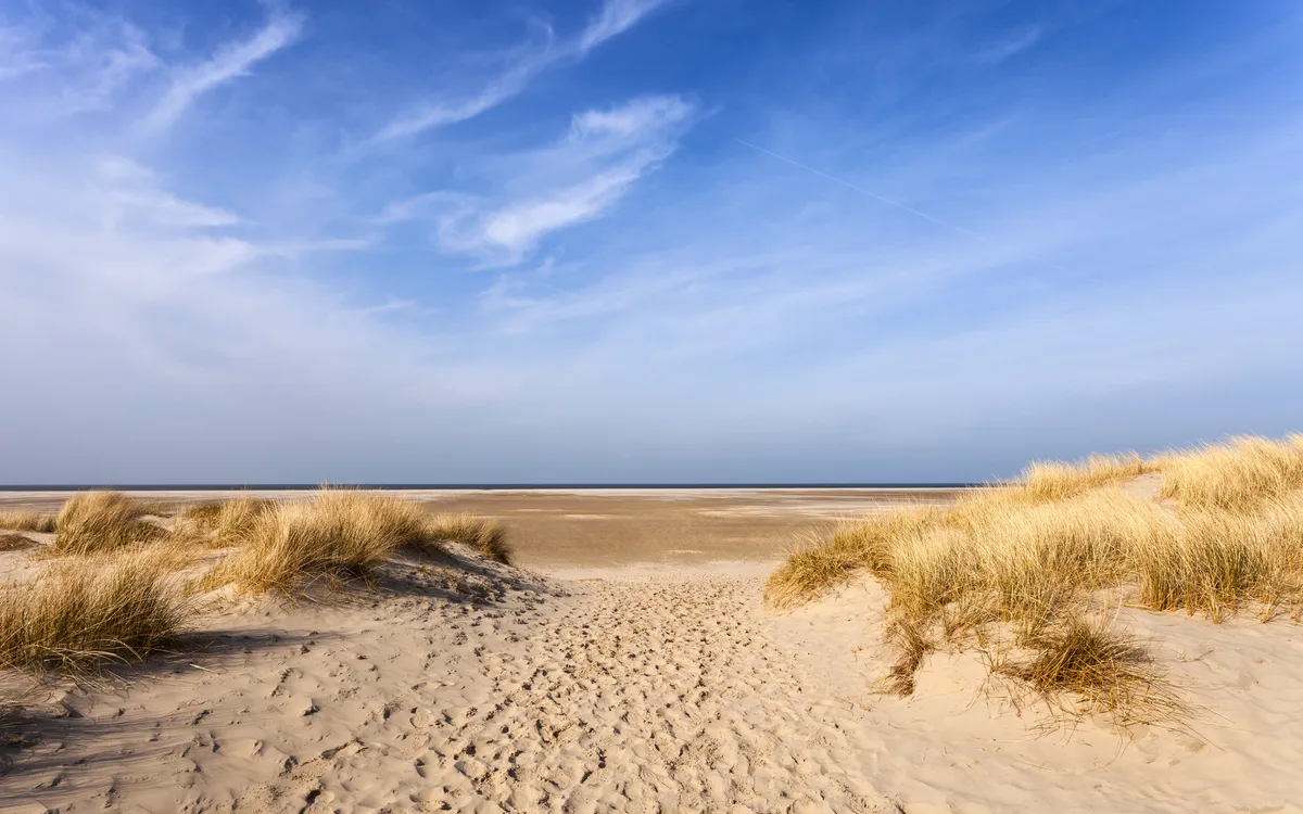 Weg durch die Dünen zum Strand von Borkum