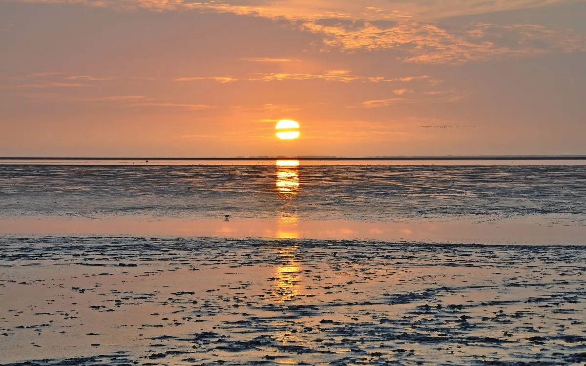 Weltkulturerbe Wattenmeer Nordsee