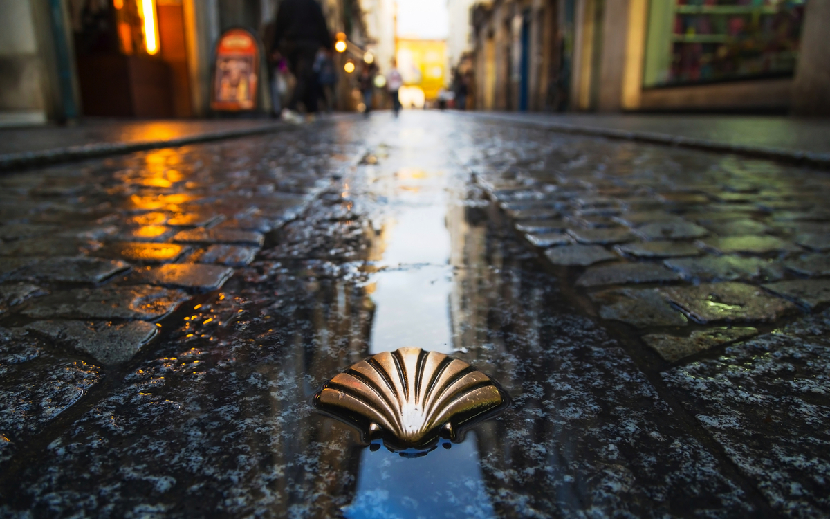 Symbol des Camino de Santiago
