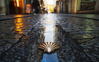 Symbol des Camino de Santiago